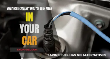 Understanding Car's Lean Fuel Warning: Catalyst Fuel Issue