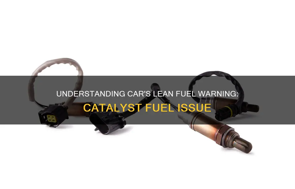 what does catalyst fuel too lean mean in your car