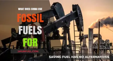 China's Fossil Fuel Dependence: Powering Industry, Transportation, and Energy Needs