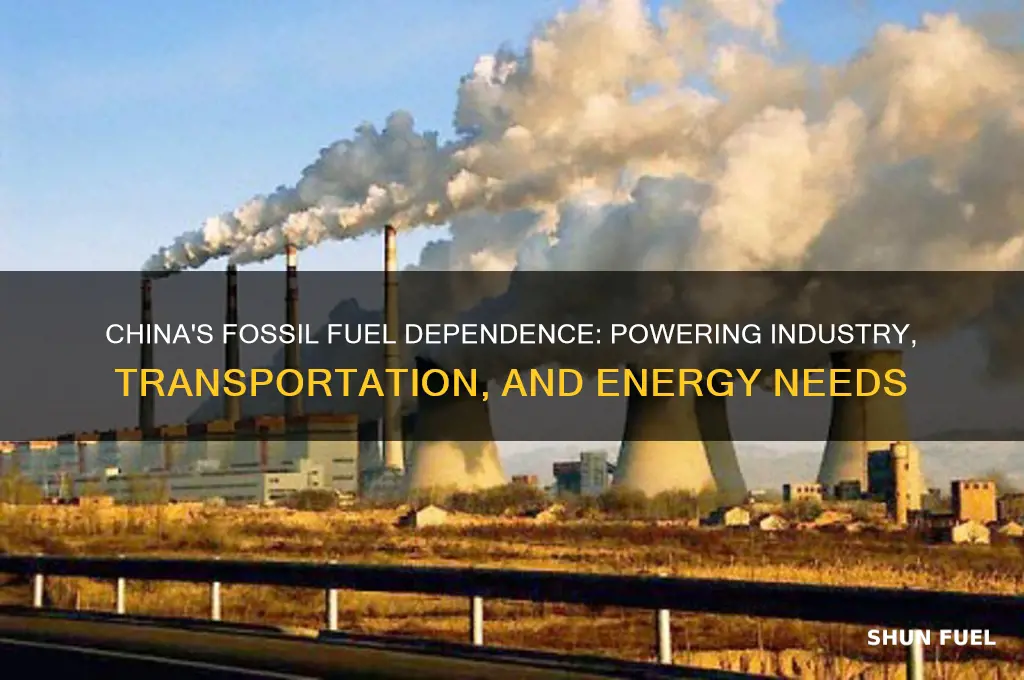 what does china use fossil fuels for