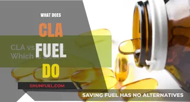 What Does CLA Fuel Do? Benefits, Uses, and Effects Explained