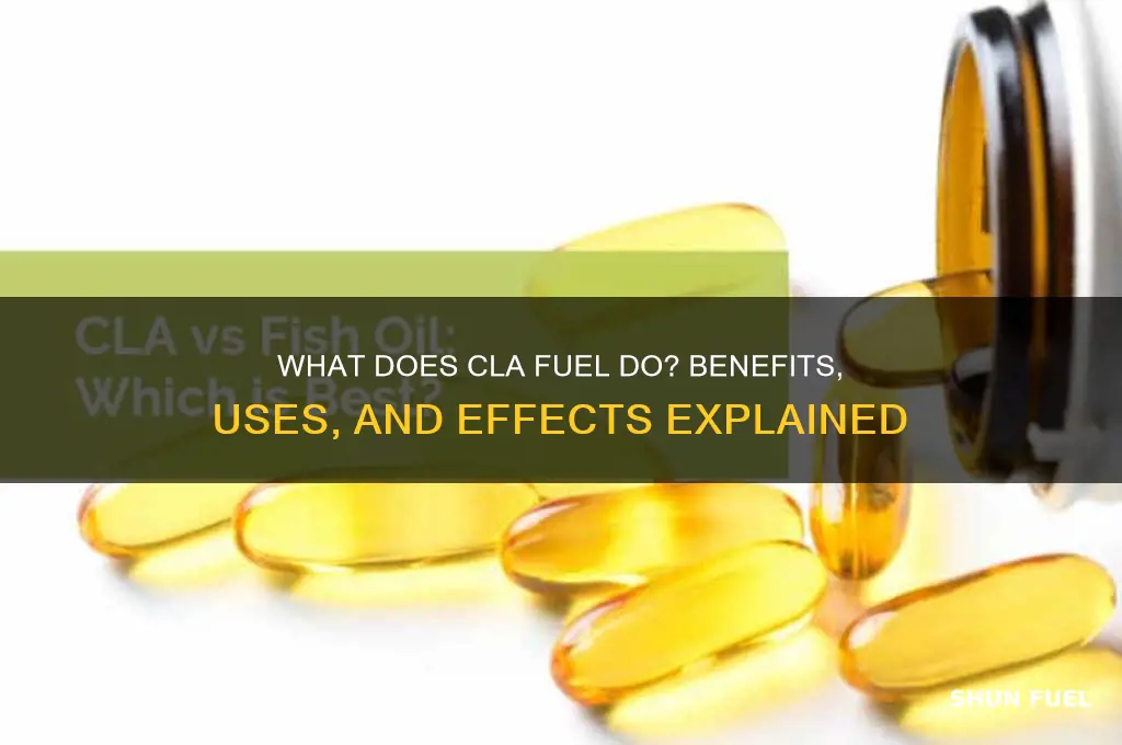 what does cla fuel do