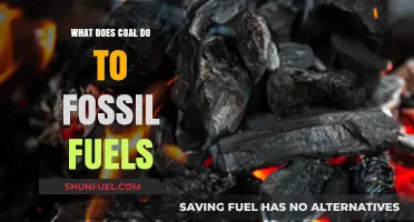 Coal's Impact: How It Influences the Fossil Fuel Industry