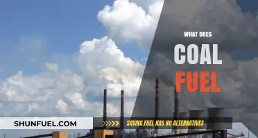 What Does Coal Fuel: Powering Industries and Homes Worldwide
