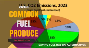 What Does Common Fuel Produce: Emissions, Energy, and Environmental Impact