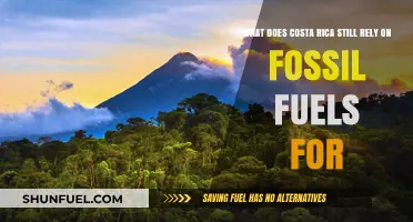 Costa Rica's Fossil Fuel Dependence: Uncovering Remaining Energy Challenges