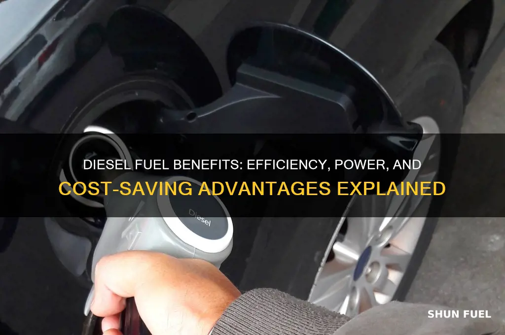 what does diesal fuel benifit