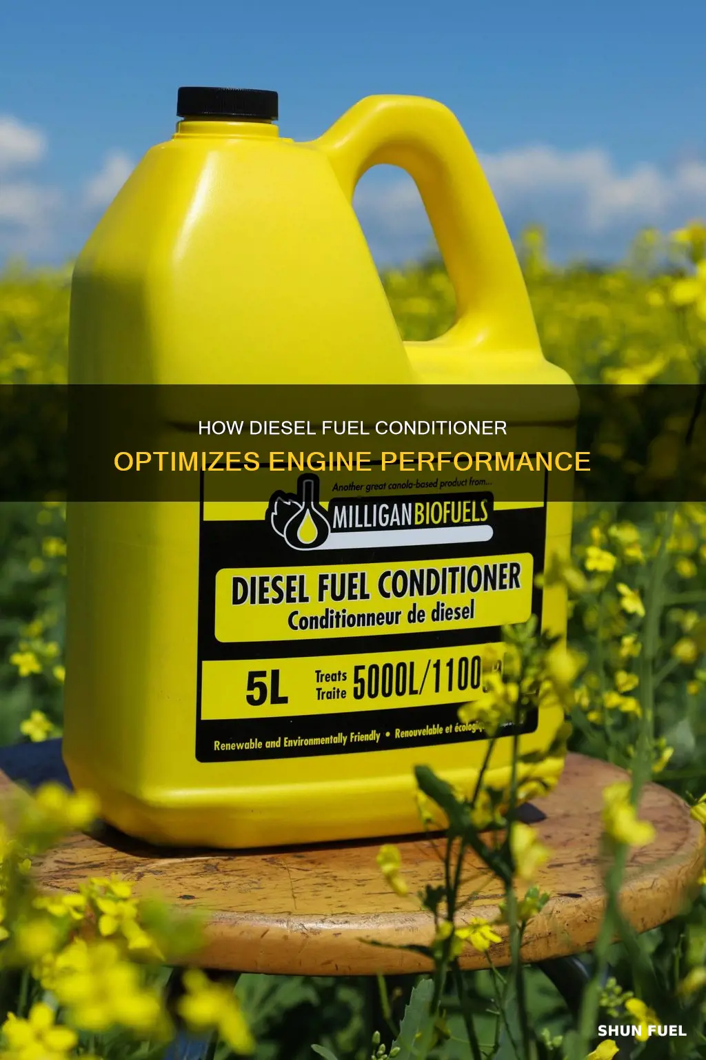what does diesel fuel conditioner do