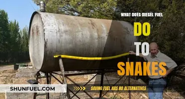How Diesel Fuel Affects Snakes