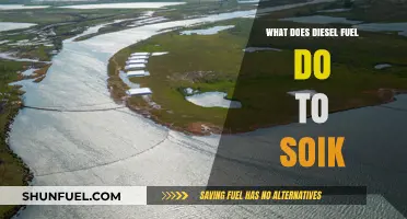 How Diesel Fuel Damages Soil and Water
