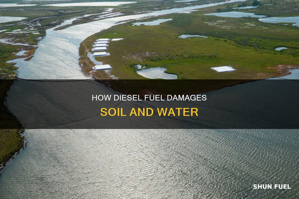 what does diesel fuel do to soik