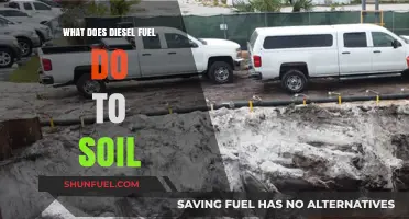 Diesel Fuel: Soil Contamination and its Effects