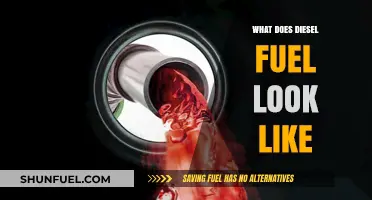 The Visual Guide to Diesel Fuel