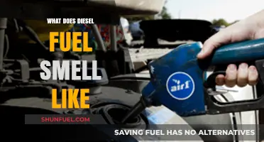 The Distinctive Diesel: A Pungent, Sharp Odor