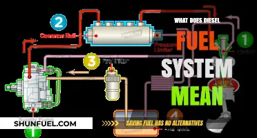 Understanding Diesel Fuel Systems: Components and Functionality