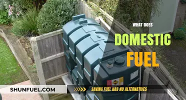 Understanding Domestic Fuel: Types, Uses, and Cost-Effective Solutions