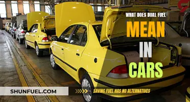 The Pros and Cons of Dual Fuel Cars Explained