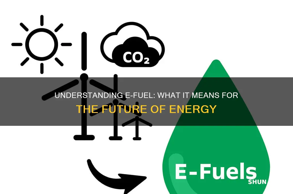 what does e fuel mean