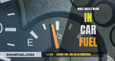 The Mystery Behind 'E' in Car Fuel Explained