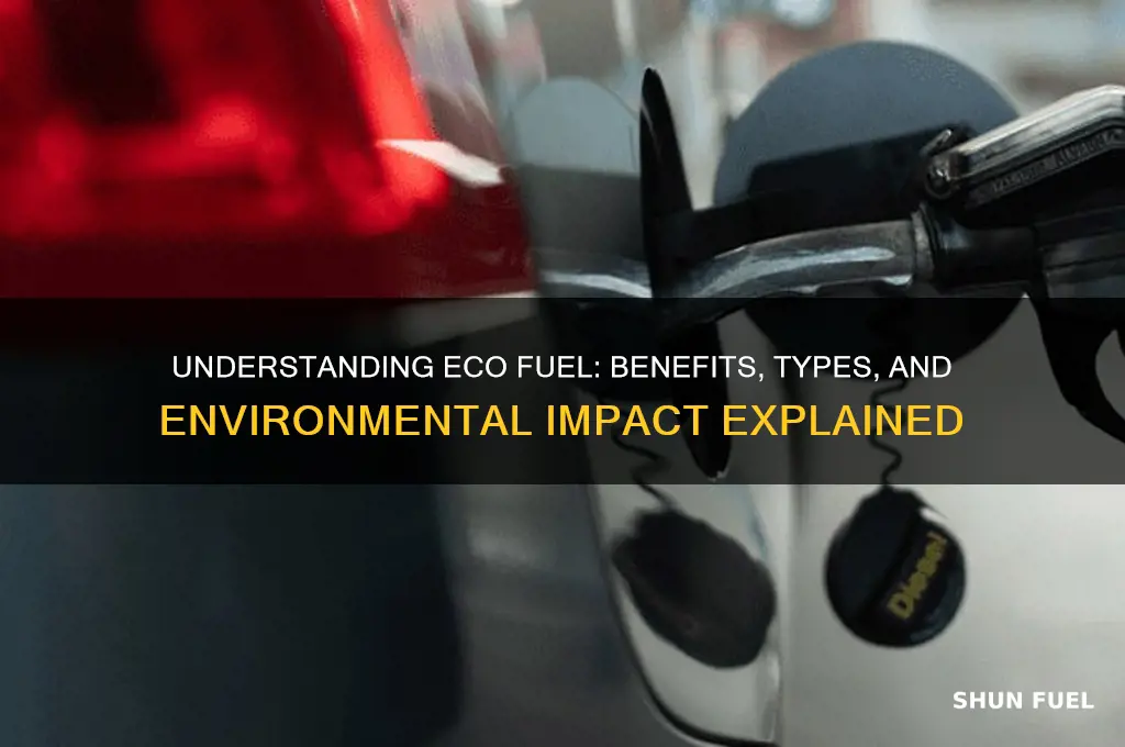 what does eco fuel mean
