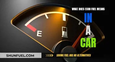 Econ Fuel: What Does It Mean for Your Car?