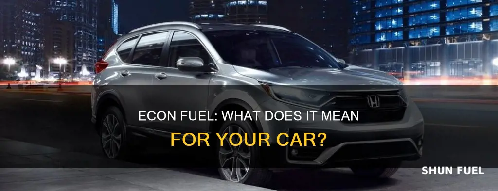 what does econ fuel means in a car