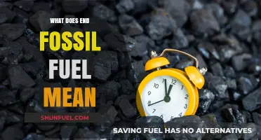 Understanding the Call to End Fossil Fuel Dependence and Transition to Clean Energy