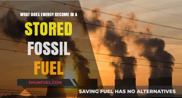 Stored Fossil Fuels: Unlocking the Transformed Energy Within
