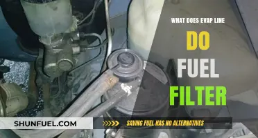 Evap Line's Role in Fuel Filter Maintenance