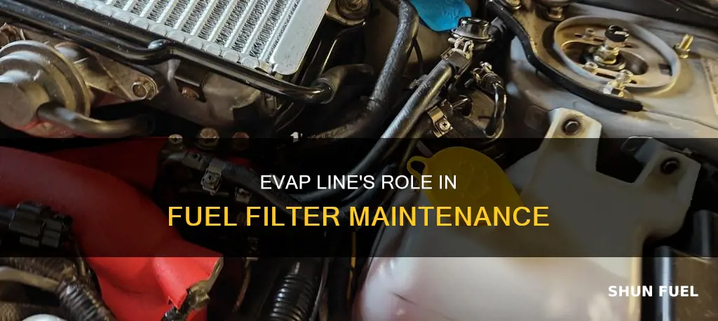 what does evap line do fuel filter