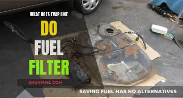 Understanding the Role of Evap Lines in Fuel Filters