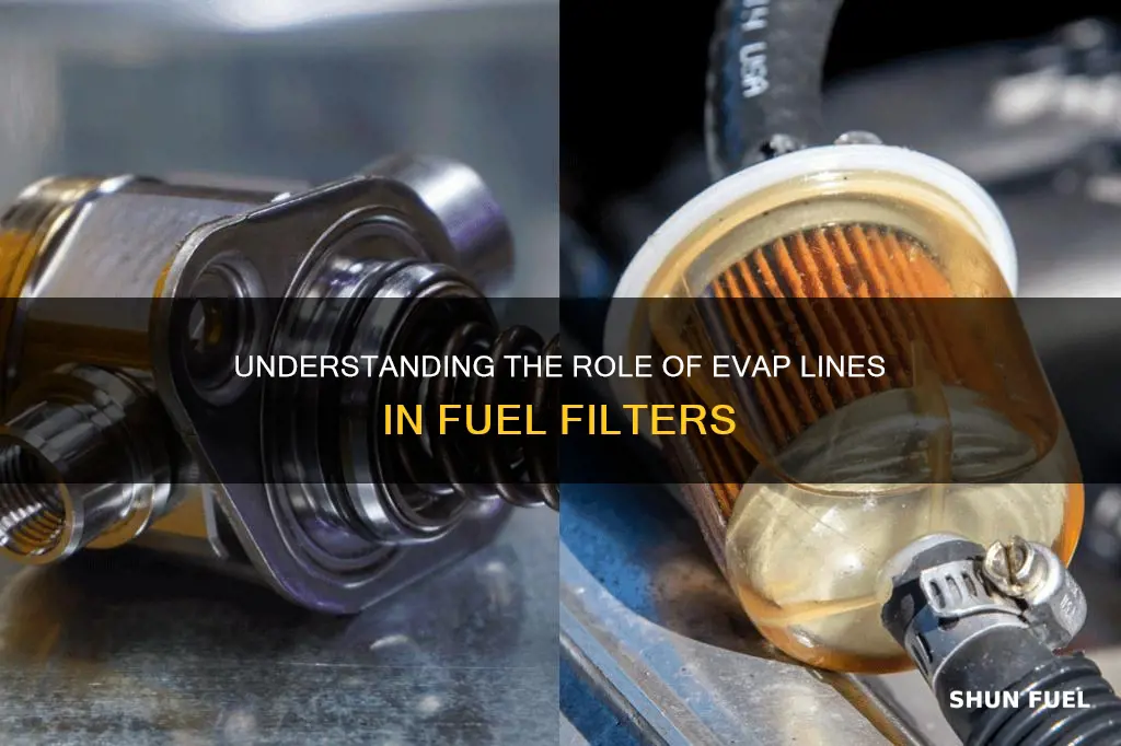 what does evap line do fuel filter