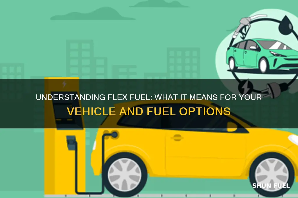 what does felx fuel mean
