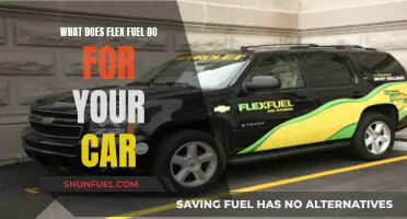 Flex Fuel: Powering Cars with a Green Edge