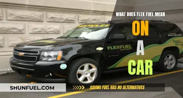 Understanding Flex Fuel: A Comprehensive Guide to Flexibility in Your Car