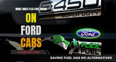 Flex Fuel Ford: What Does It Mean?