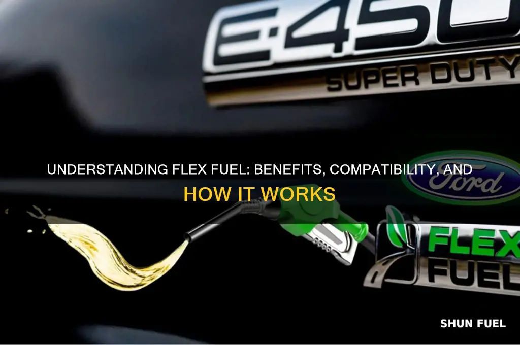 what does flex fuel means