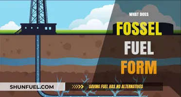 How Fossil Fuels Form: Uncovering the Ancient Origins of Energy