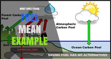 Understanding Fossil Fuels: Definition, Examples, and Environmental Impact