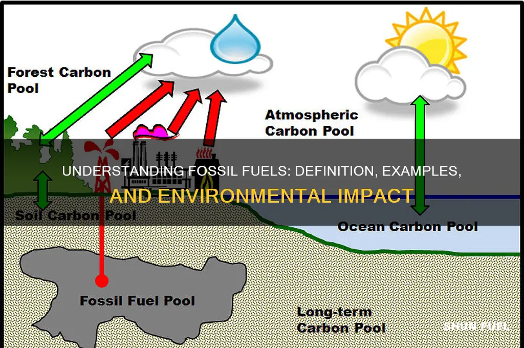 what does fossil fuel mean example