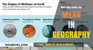 Understanding Fossil Fuels: Geography's Role in Energy Resources Explained