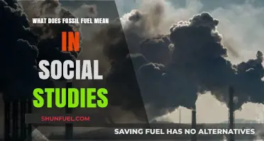 Understanding Fossil Fuels: Social Studies Insights on Energy and Society