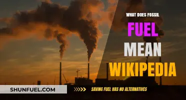 Understanding Fossil Fuels: Wikipedia's Definition and Global Impact Explained