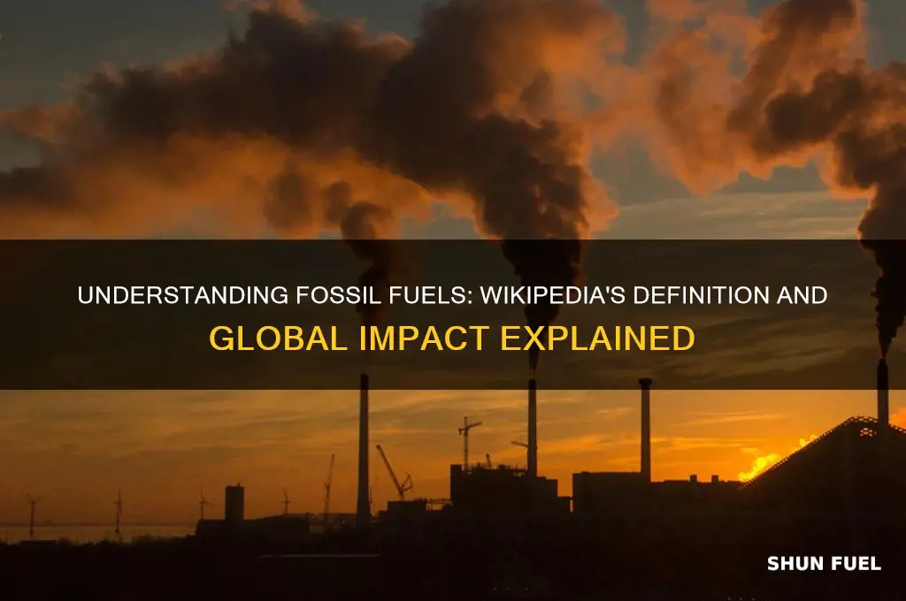 what does fossil fuel mean wikipedia