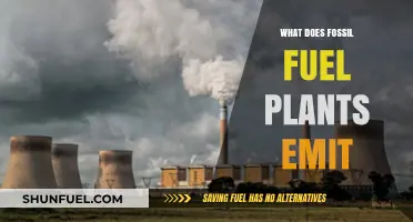 Unveiling Fossil Fuel Plant Emissions: Pollutants, Greenhouse Gases, and Environmental Impact