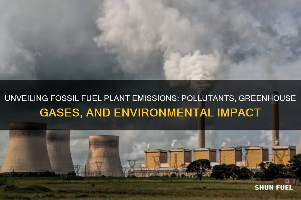 what does fossil fuel plants emit
