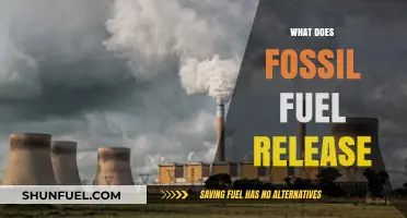 Fossil Fuel Emissions: Unveiling the Hidden Environmental Impact