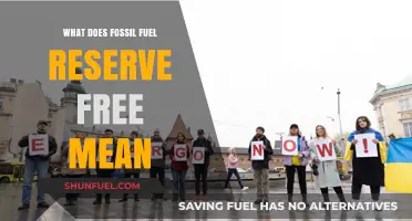 Understanding Fossil Fuel Reserve Freedom: A Sustainable Energy Transition Explained