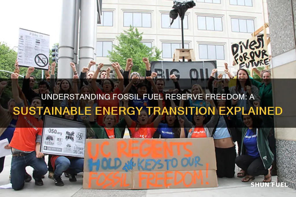 what does fossil fuel reserve free mean