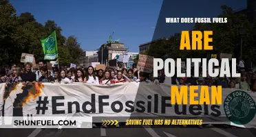 Fossil Fuels as Political Tools: Power, Influence, and Global Dynamics